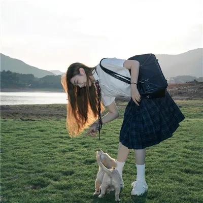 光合计划